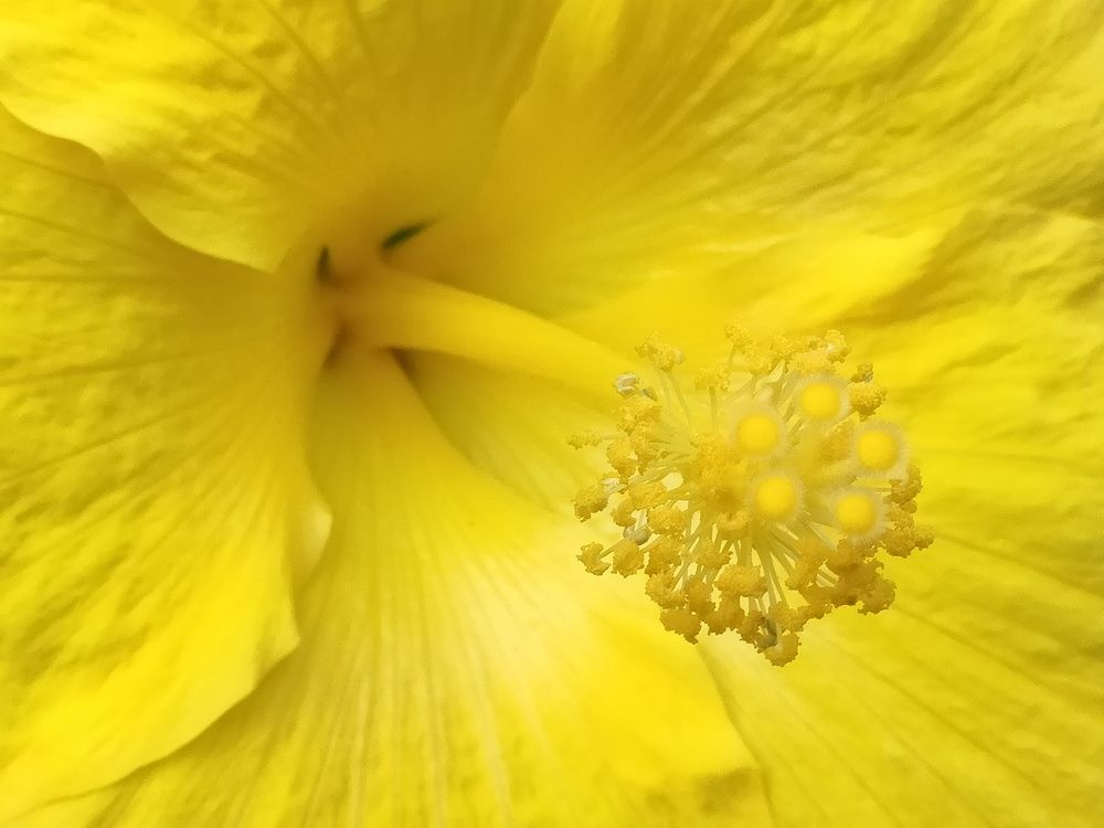 Photograph by Kaouche Mohamed