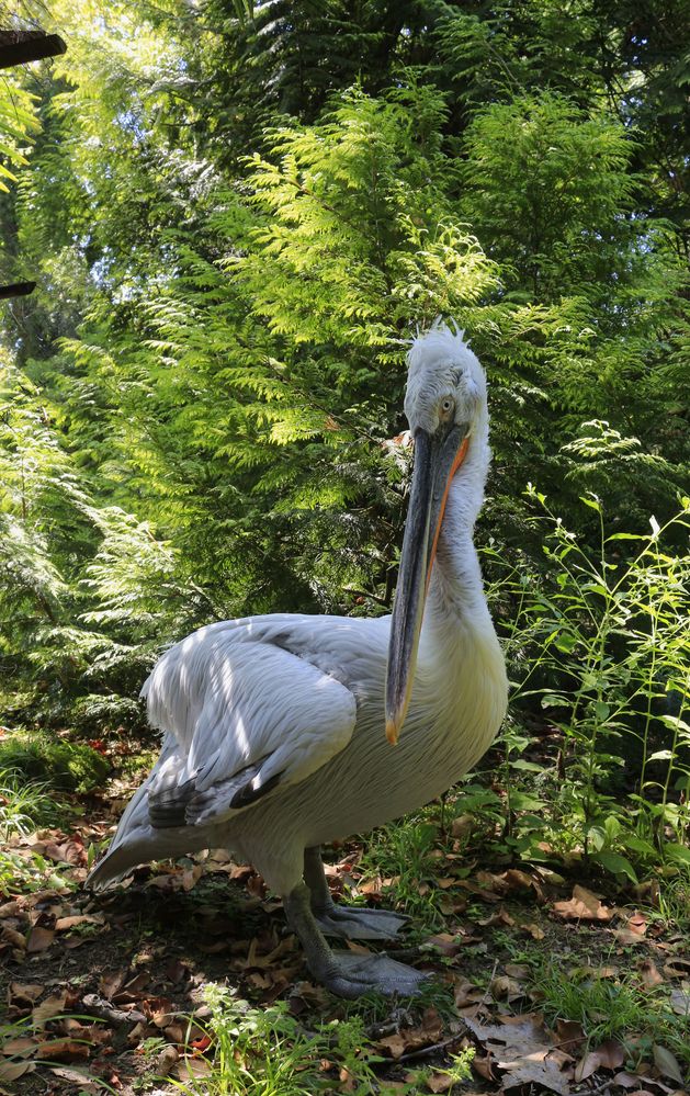 Photograph by Екатерина Иванова