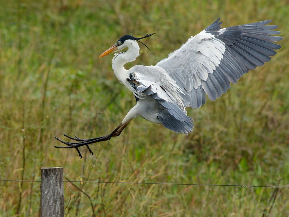 Photograph by Valdir Hobus