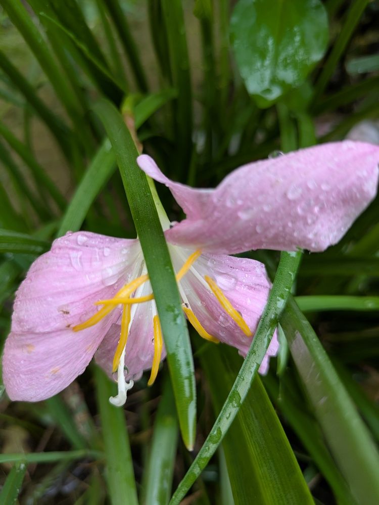 Photograph by Shivam Kashyap