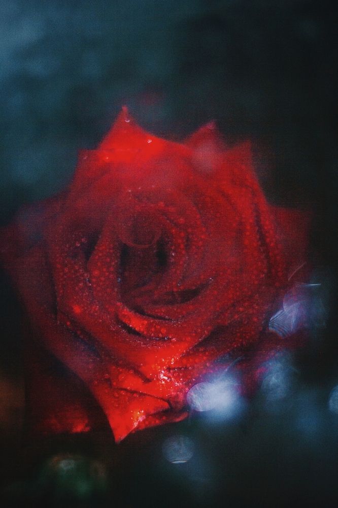 Photograph by Ольга Денисова