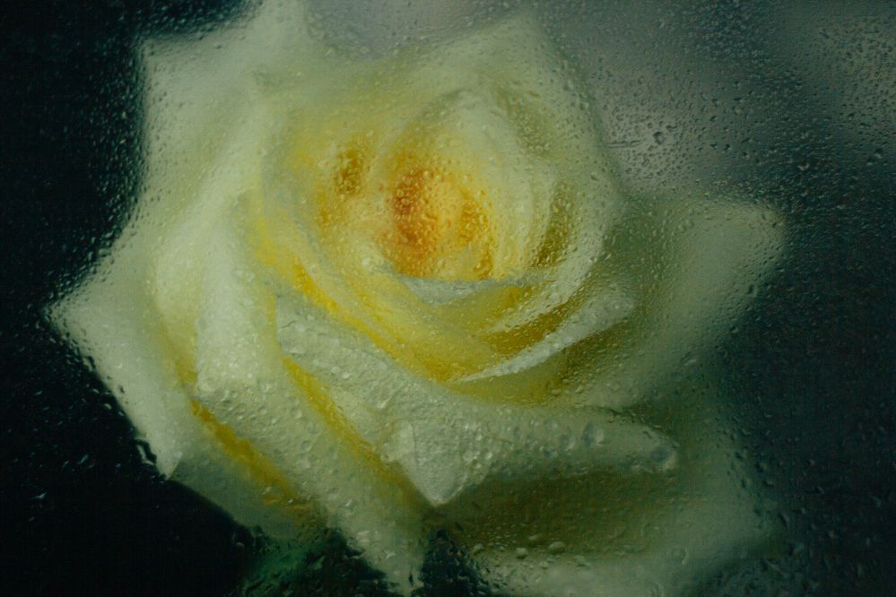 Photograph by Ольга Денисова