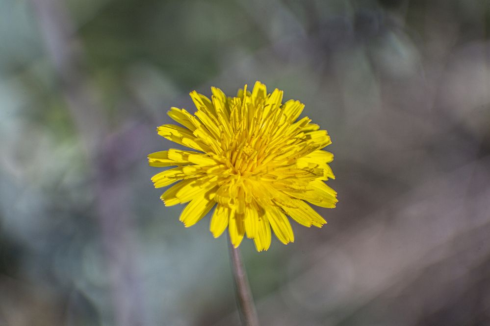Photograph by Antonio Cascales