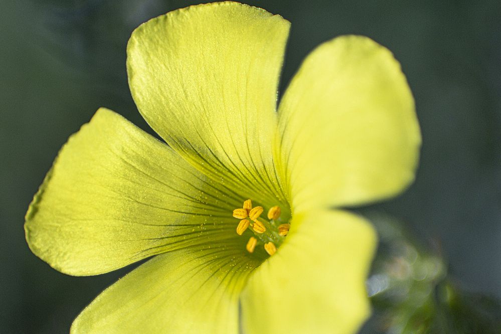 Photograph by Antonio Cascales