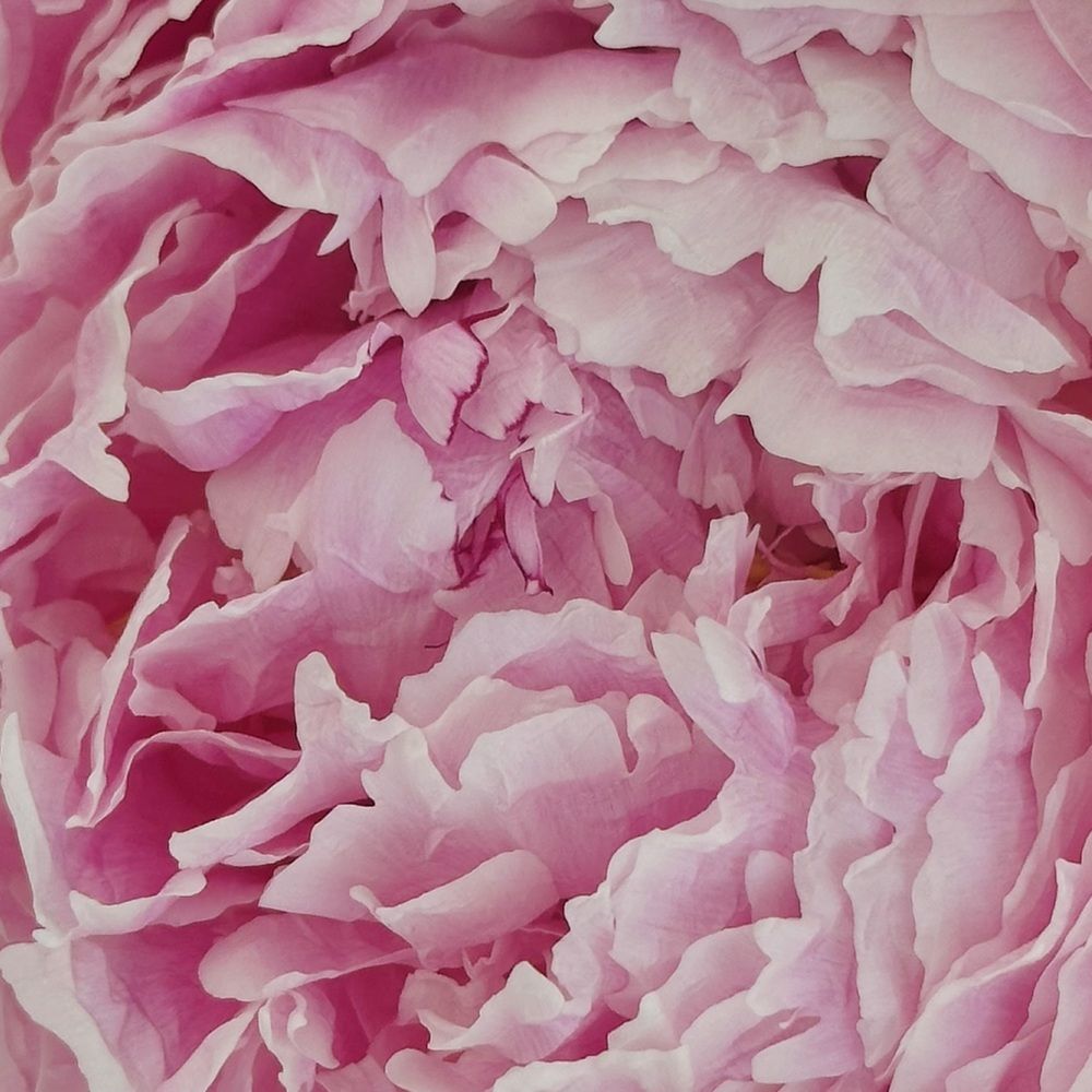 Photograph by Полина Самойлова