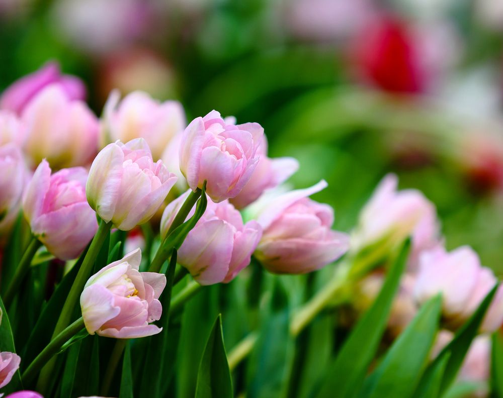 Фотография автора Воронина Татьяна