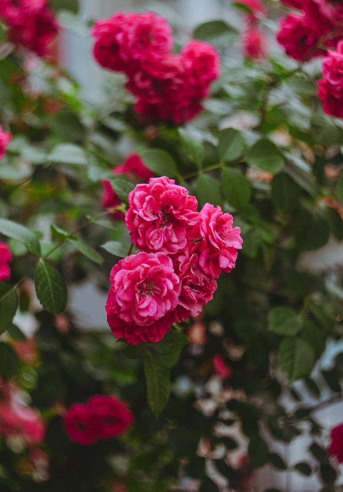 Photograph by Катерина Сорокина