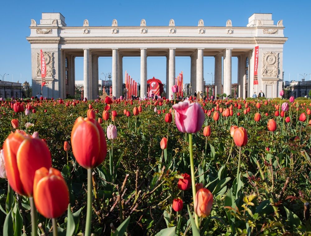 Photograph by Машевский Владимир