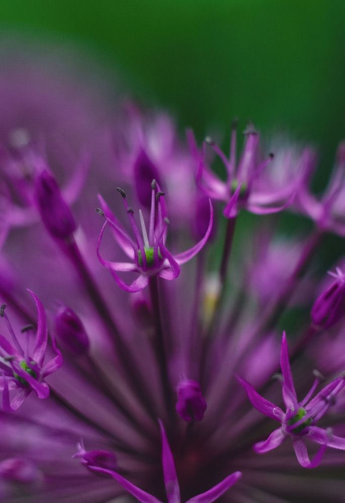 Photograph by Катерина Сорокина