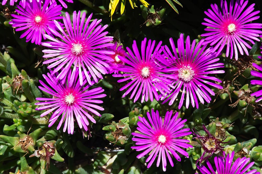 Photograph by Stojan Saveski