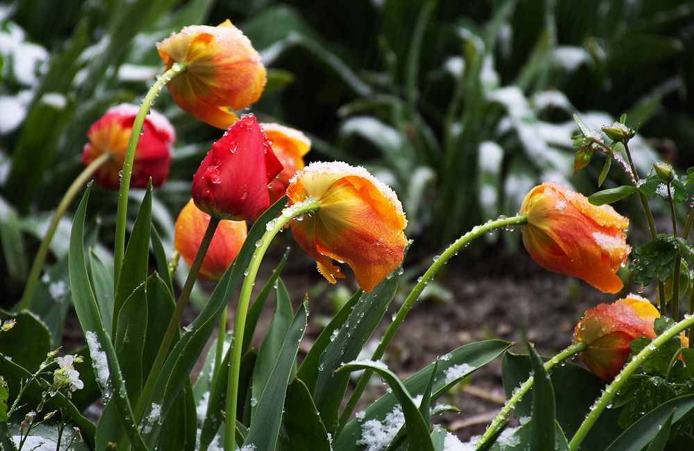 Photograph by Stojan Saveski