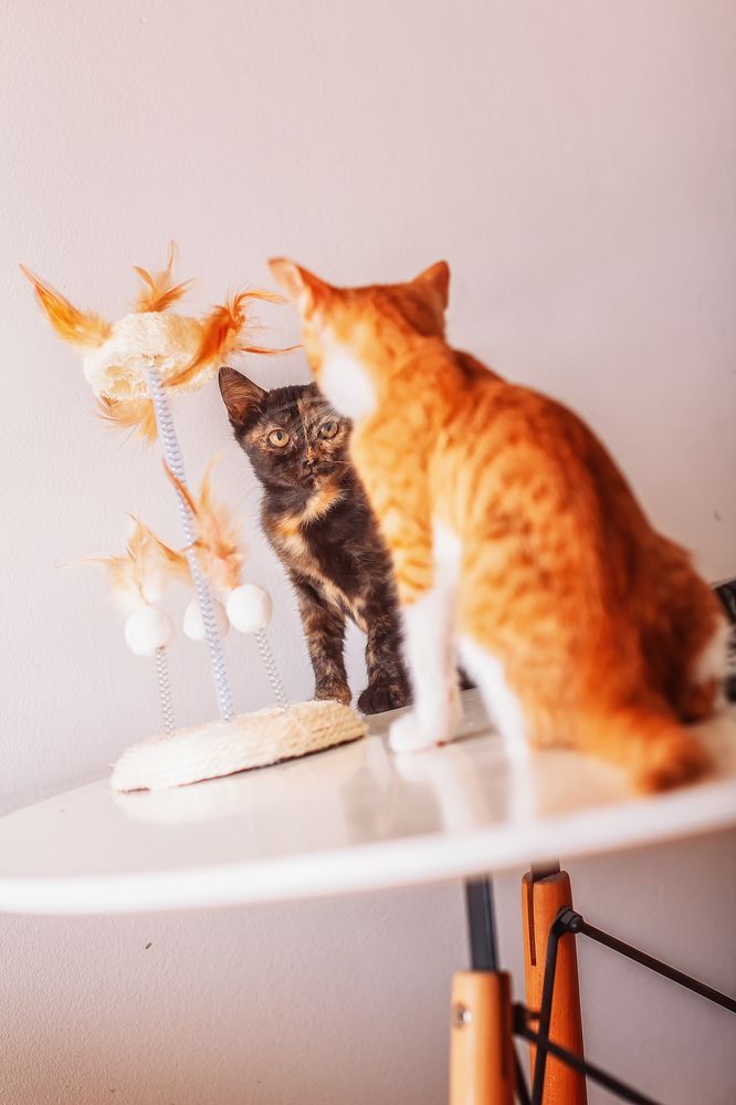 Photograph by Lana Soldatova