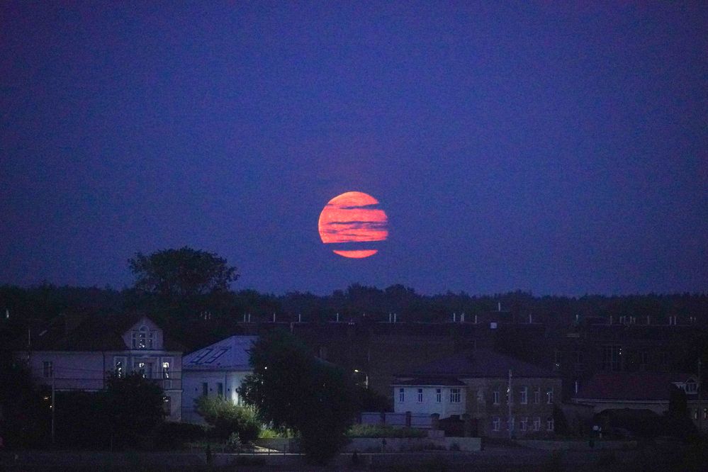 Photograph by Алфия Бугакова