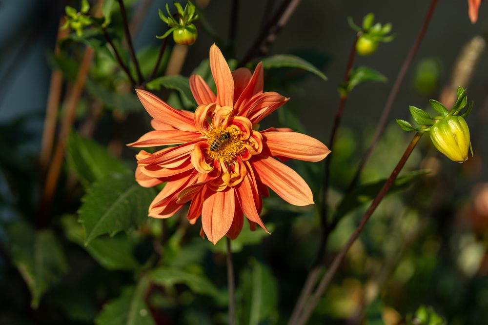 Photograph by Галина Искандарова