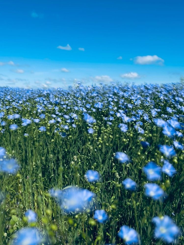 Photograph by Светлана Смук