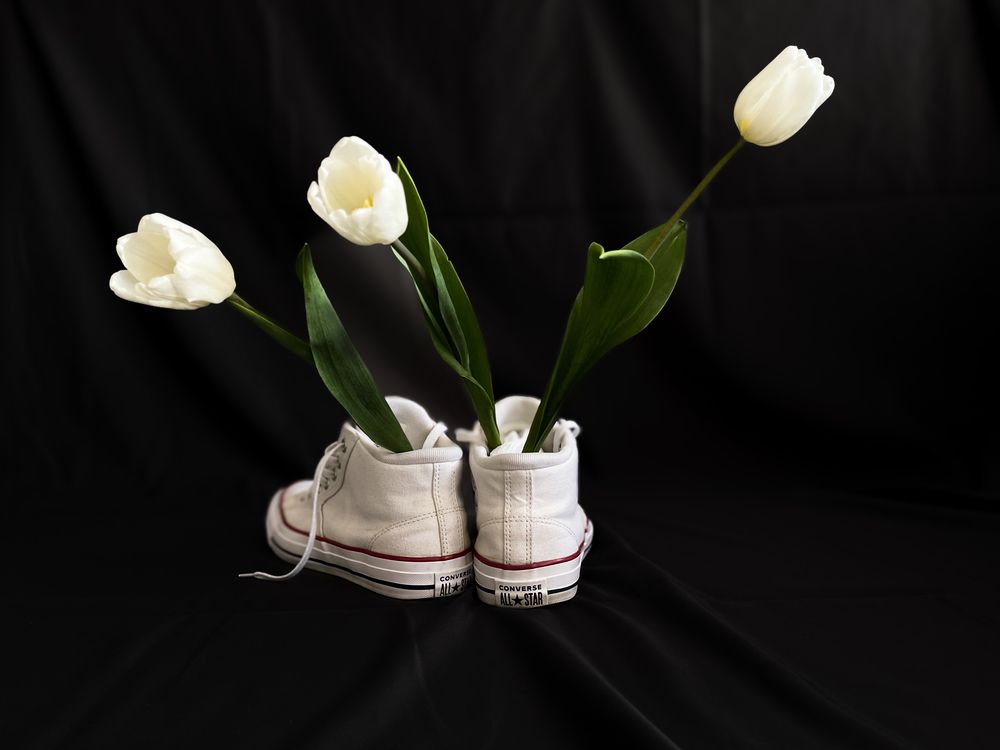 Photograph by Светлана Смук