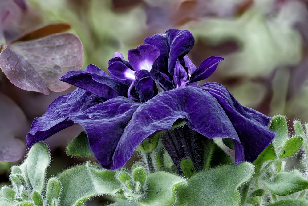 Photograph by Олег С