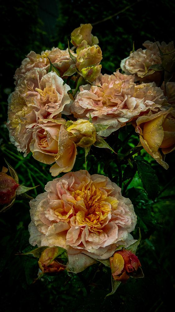 Фотография автора RENAT ABDULBYAROV