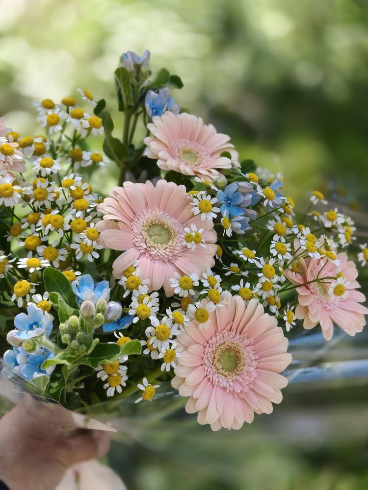 Photograph by Vadim Arutyunov