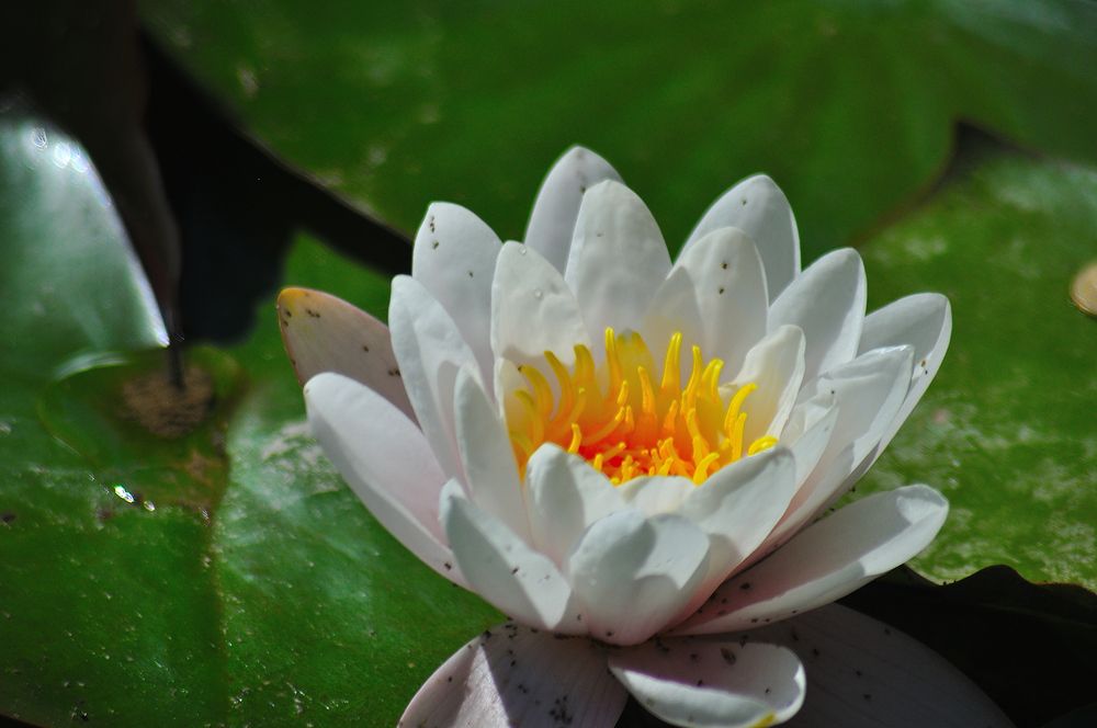 Photograph by Дмитрий Жуков