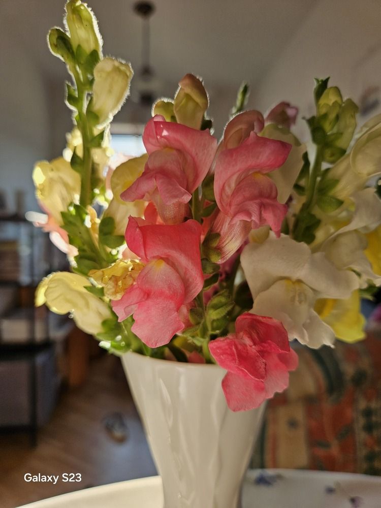 Фотография автора Inna Osminina