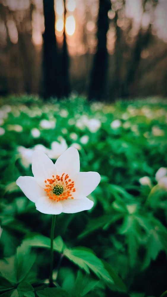 Фотография автора Aamoda Kitchen