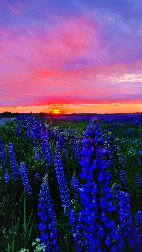 Фотография автора Aamoda Kitchen