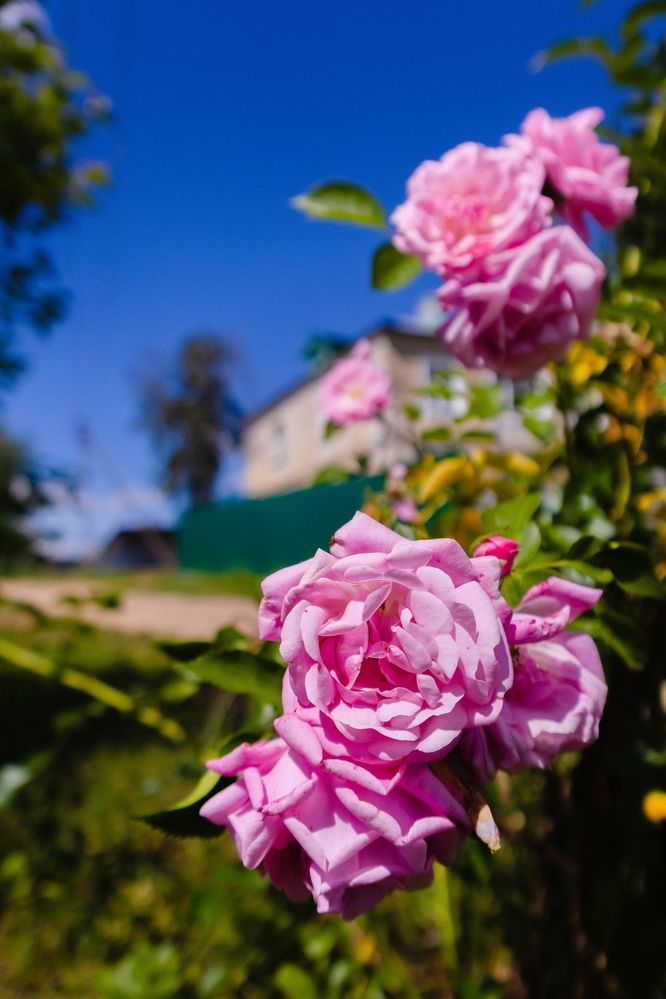 Фотография автора Aamoda Kitchen