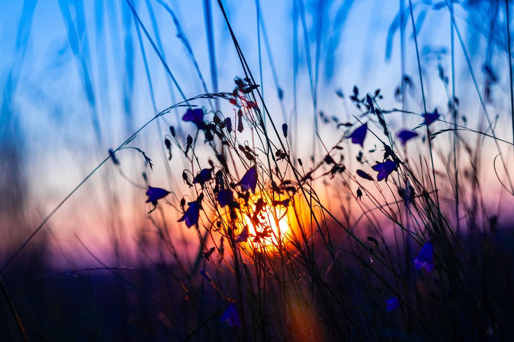 Фотография автора Aamoda Kitchen