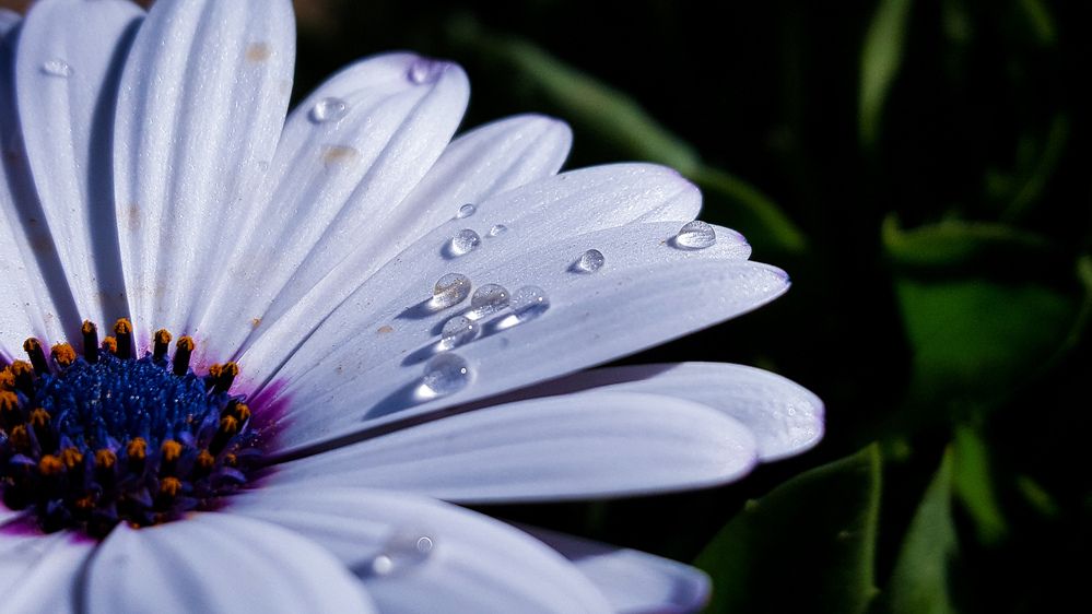 Photograph by sadouni zakaria