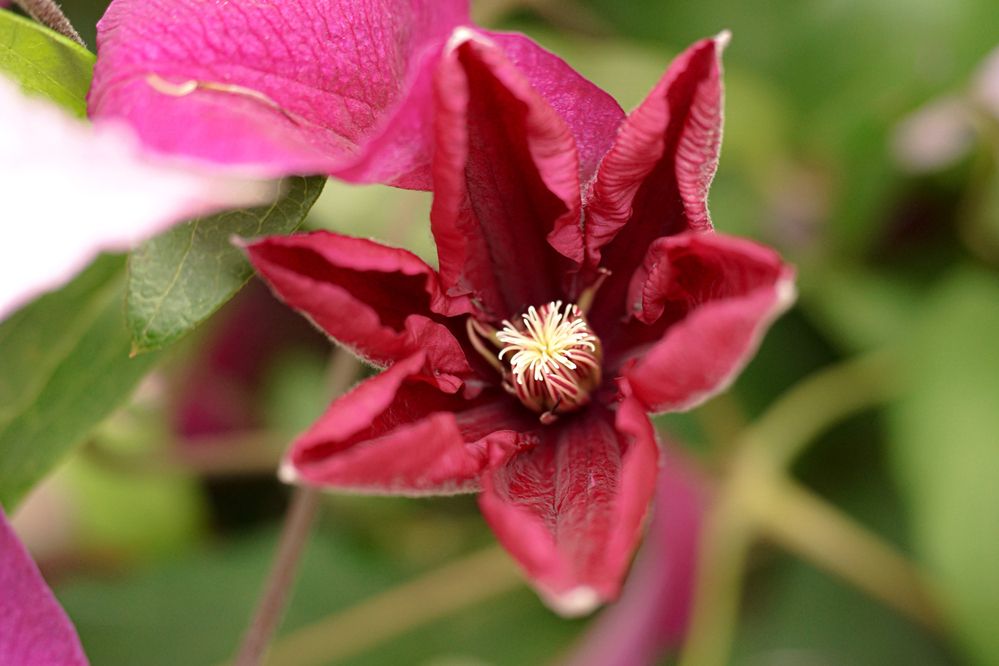 Photograph by Алфия Бугакова