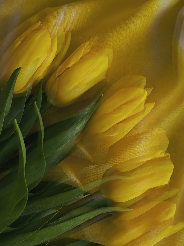 Photograph by Татьяна Яцкевич