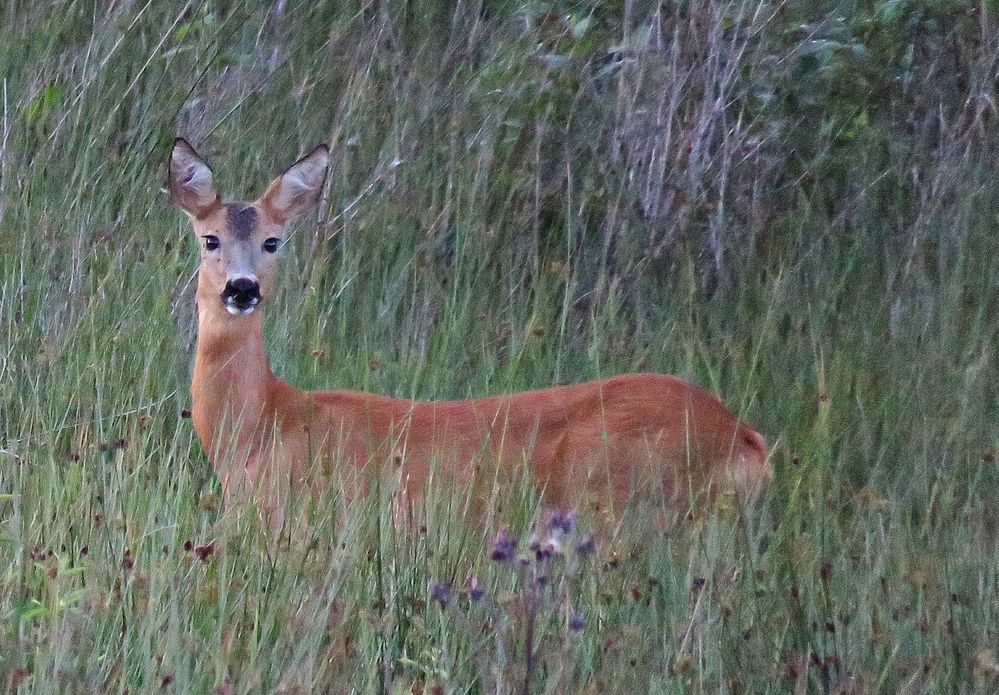 Photograph by Николай