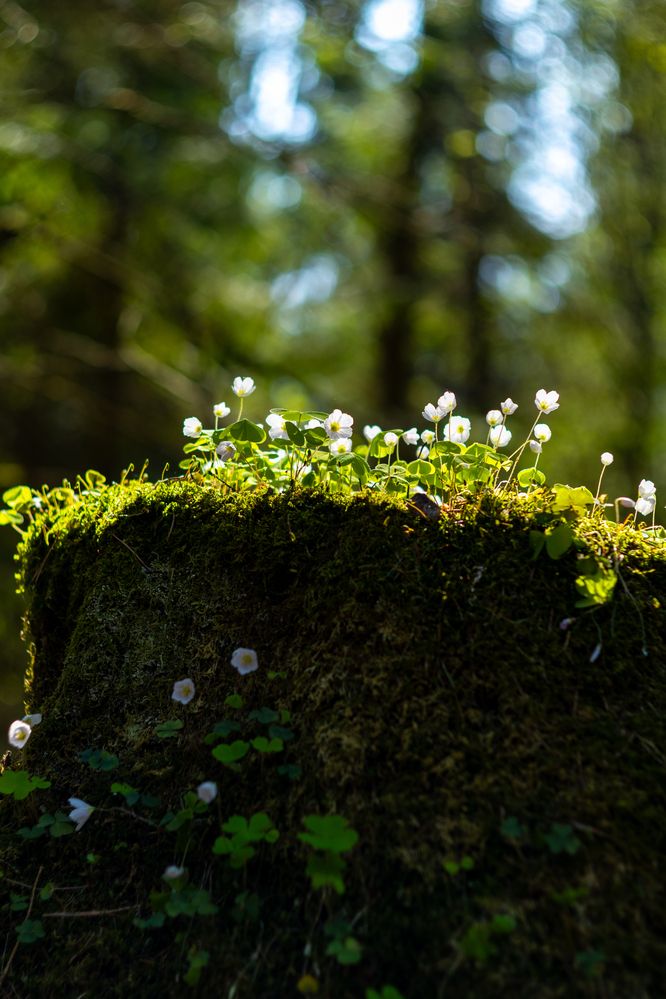 Фотография автора Aamoda Kitchen