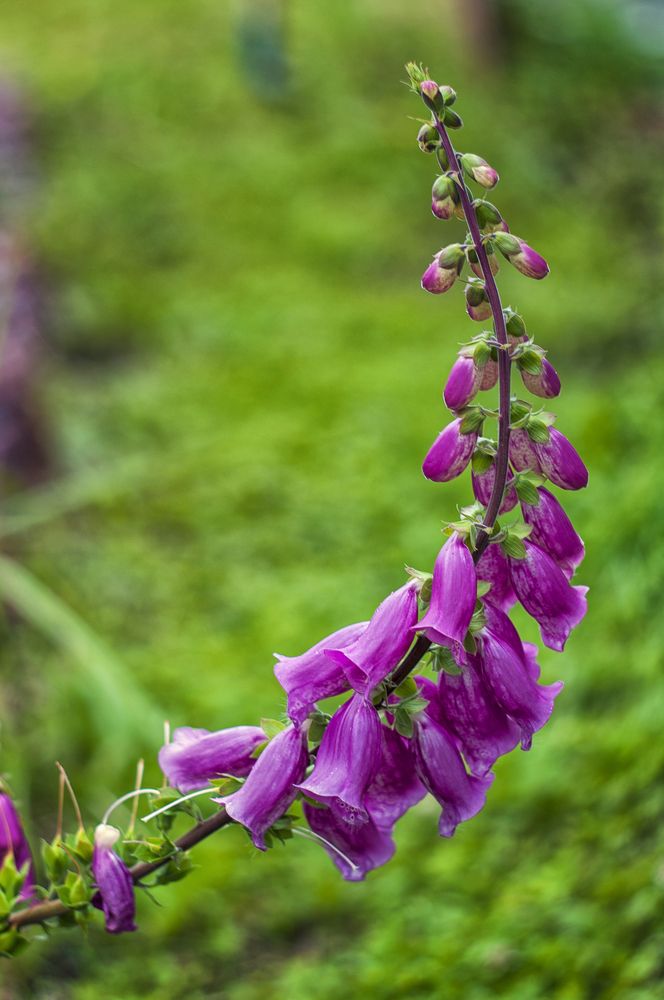 Photograph by Василий Либко