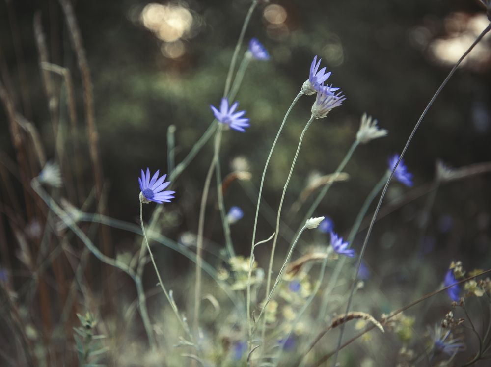 Photograph by Helena Proshkina