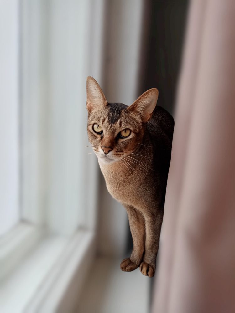 Photograph by Елена Сухорученкова
