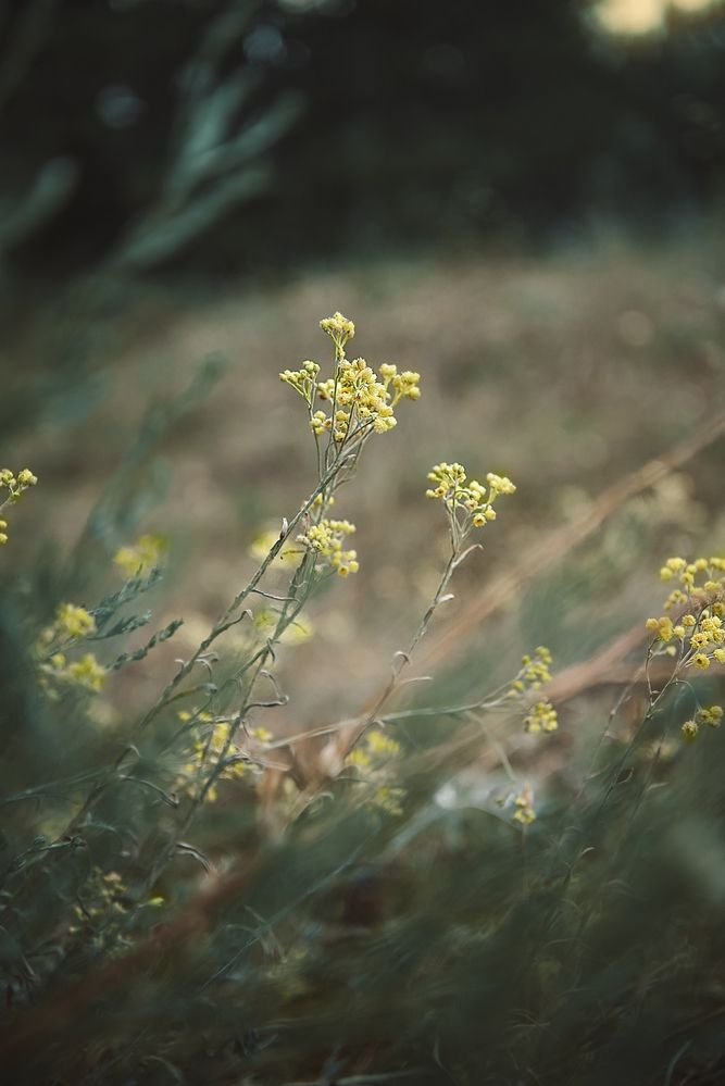 Photograph by Helena Proshkina