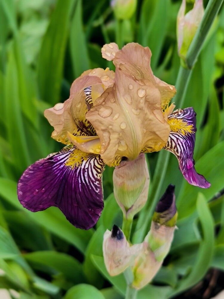 Photograph by Татьяна Яцкевич