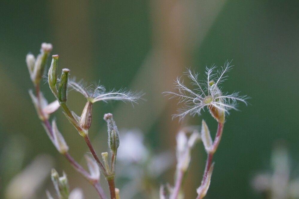 Photograph by Алфия Бугакова