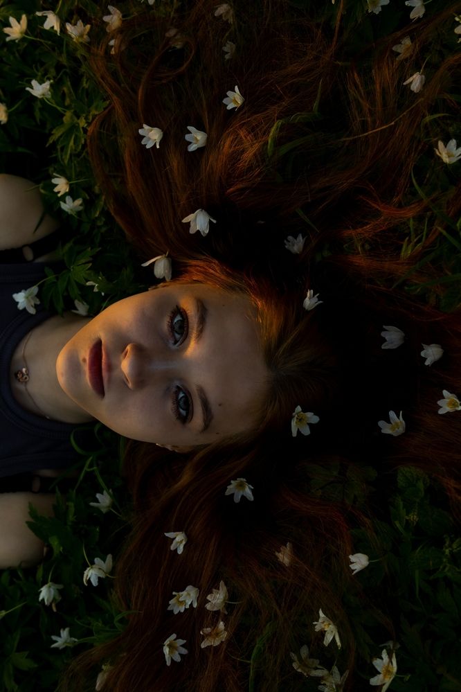 Фотография автора Aamoda Kitchen