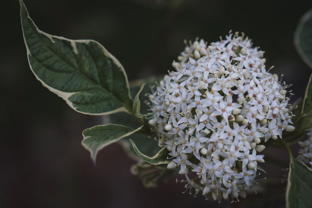 Photograph by Наталья Мубаракшина