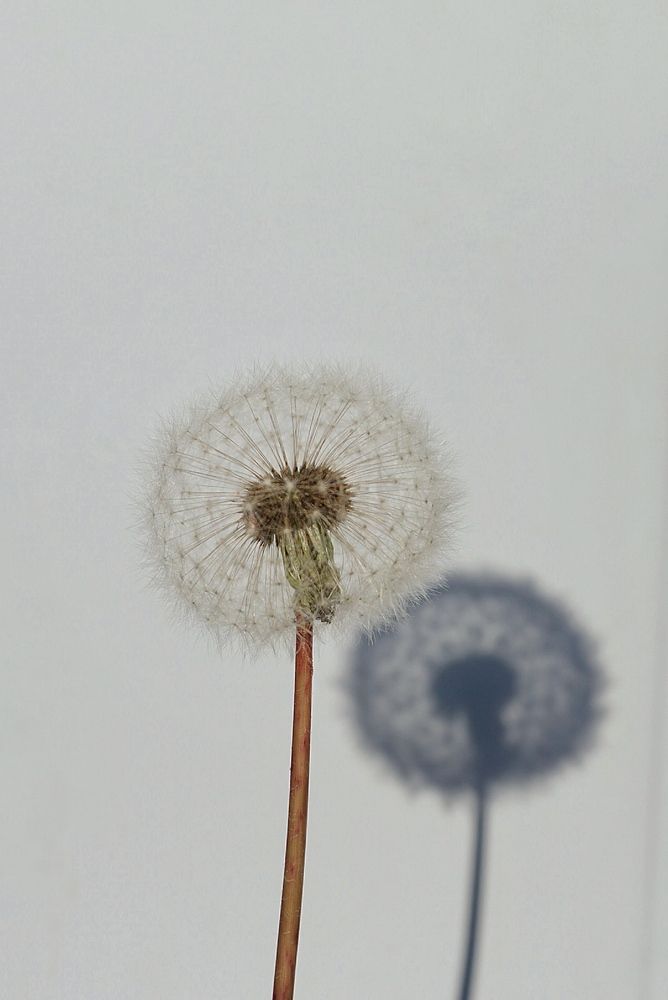 Photograph by Юлия Тимофеева