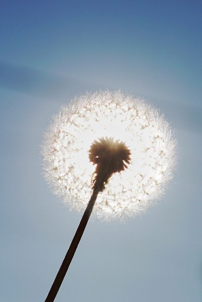 Photograph by Юлия Тимофеева