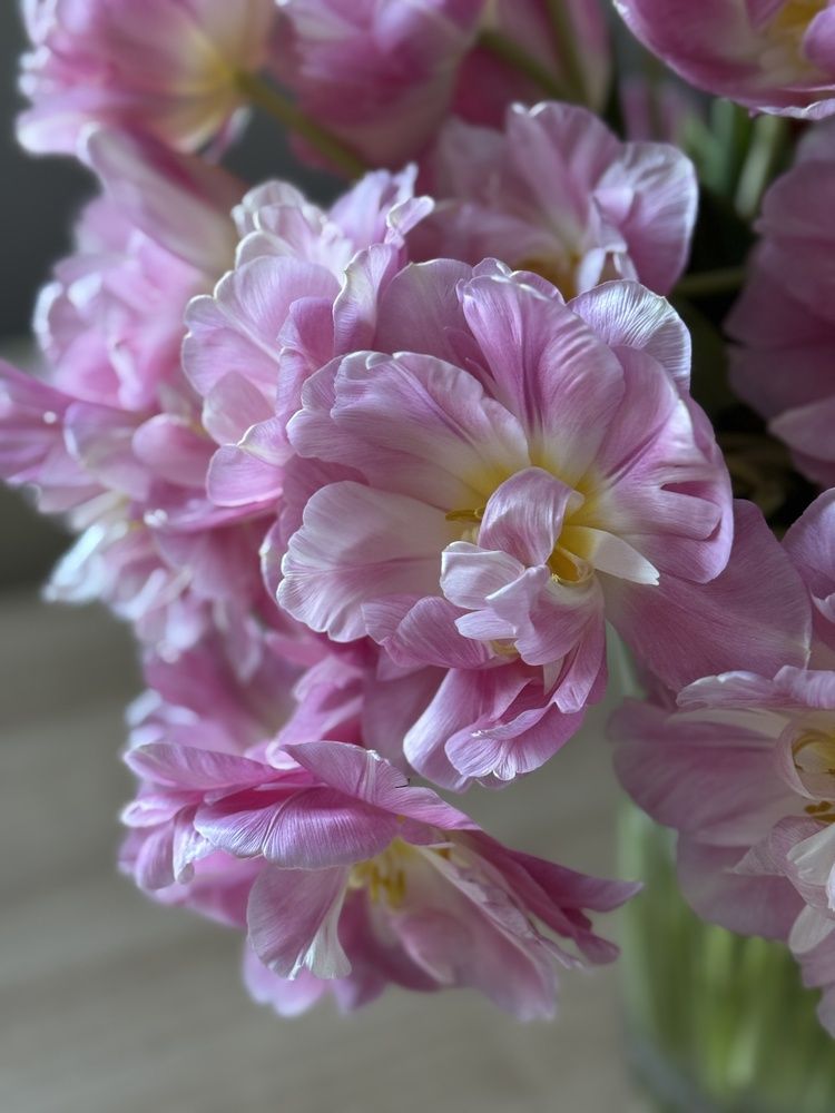 Photograph by Татьяна Маслова