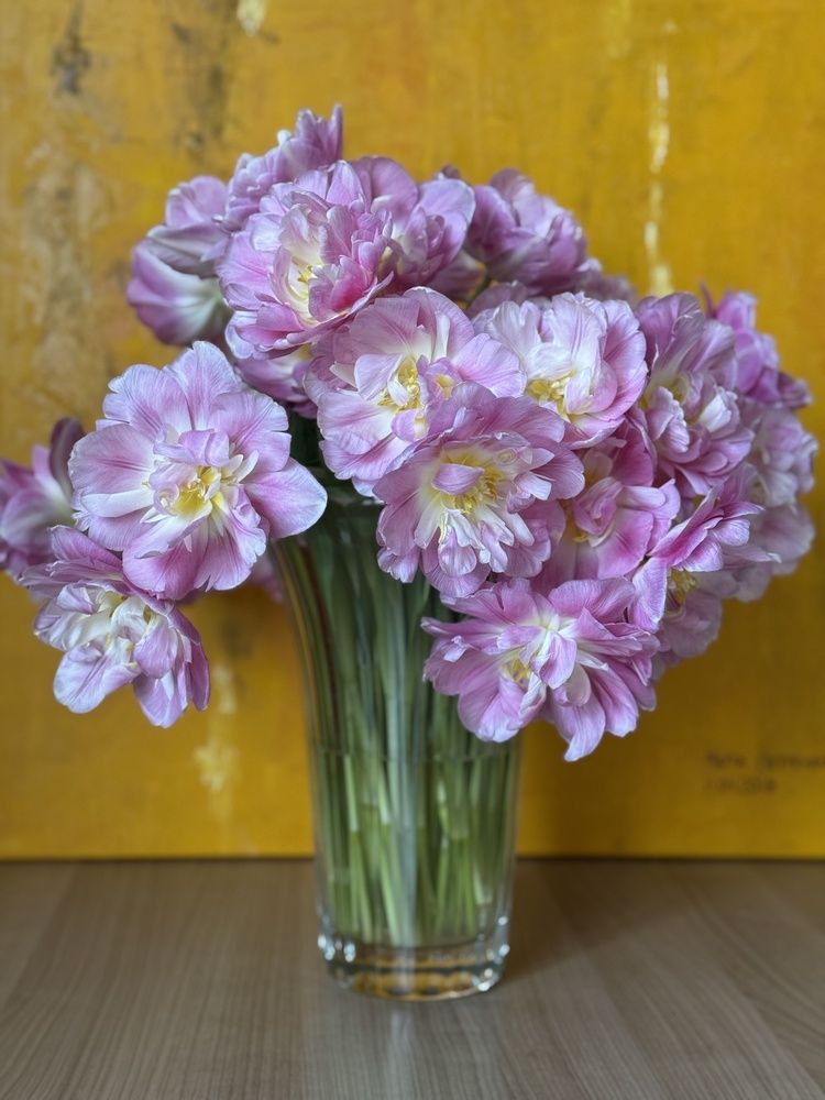 Photograph by Татьяна Маслова