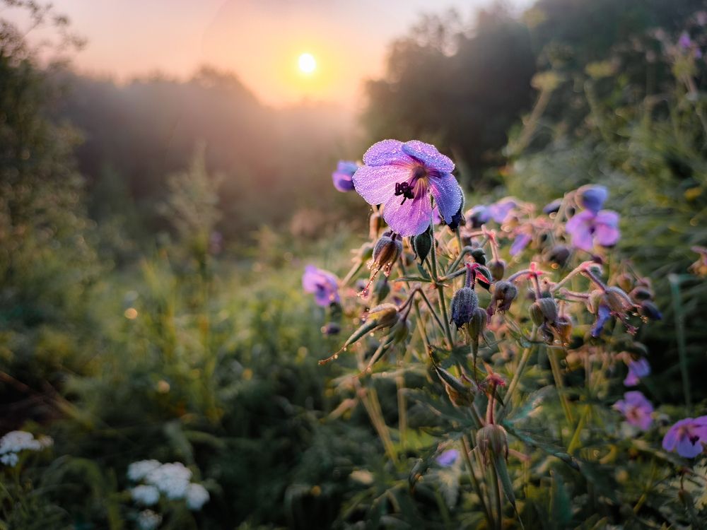 Photograph by Кондрашова Светлана