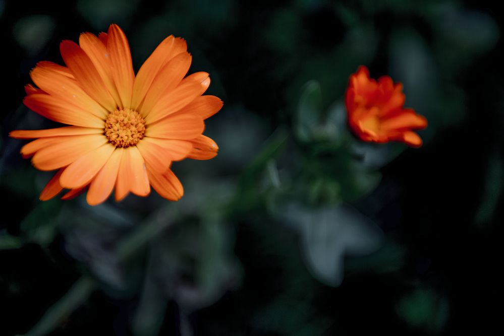 Photograph by Helena Proshkina