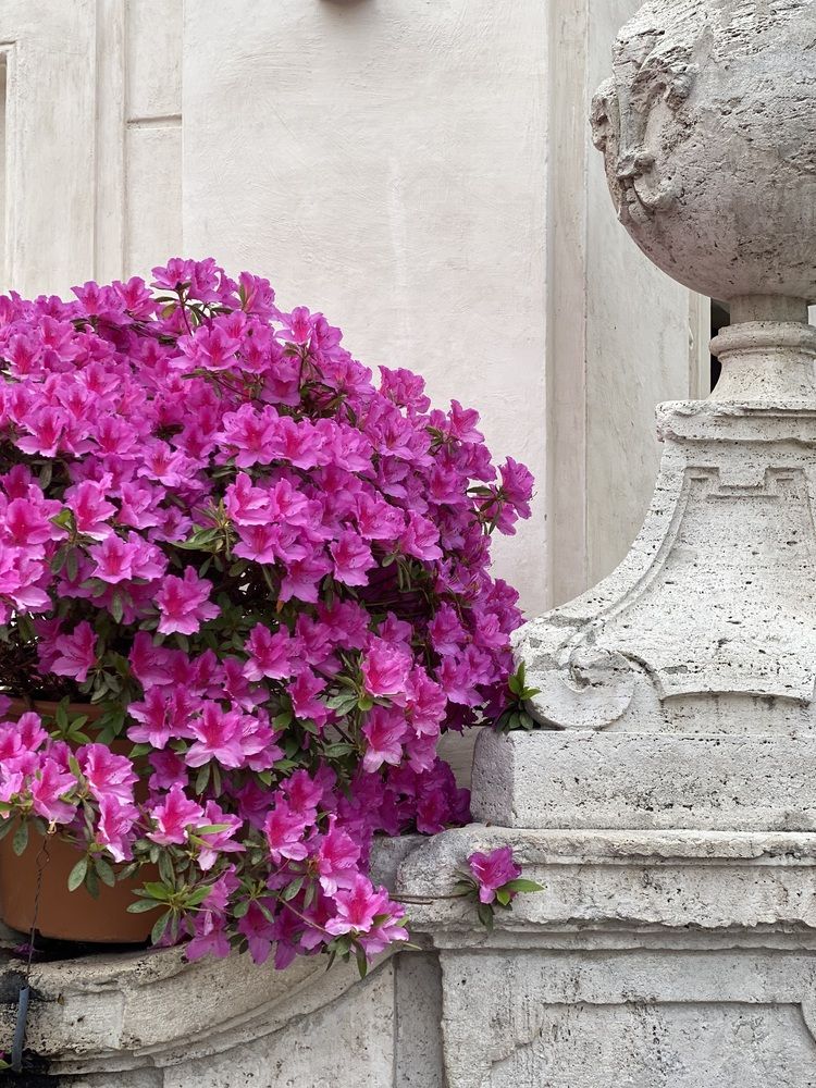 Photograph by Татьяна Маслова