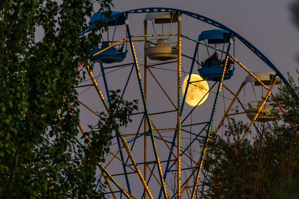 Photograph by Владимир Рогулькин